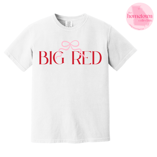 NEW! BIG RED Bow