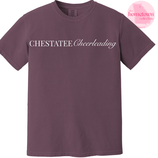 NEW! Chestatee Cheerleading