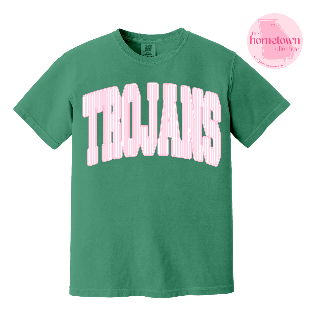 NEW! Pink Striped TROJANS
