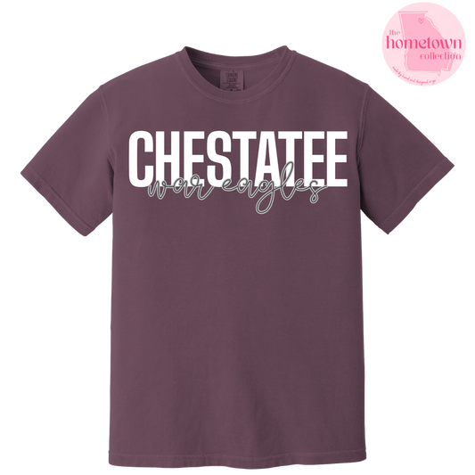 NEW! Chestatee War Eagles